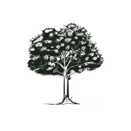Best Seo Boston Oak LAnd Trust 
Oakland Trust oaklandtrust.org best marketing agencies new england Best Creative direction new york